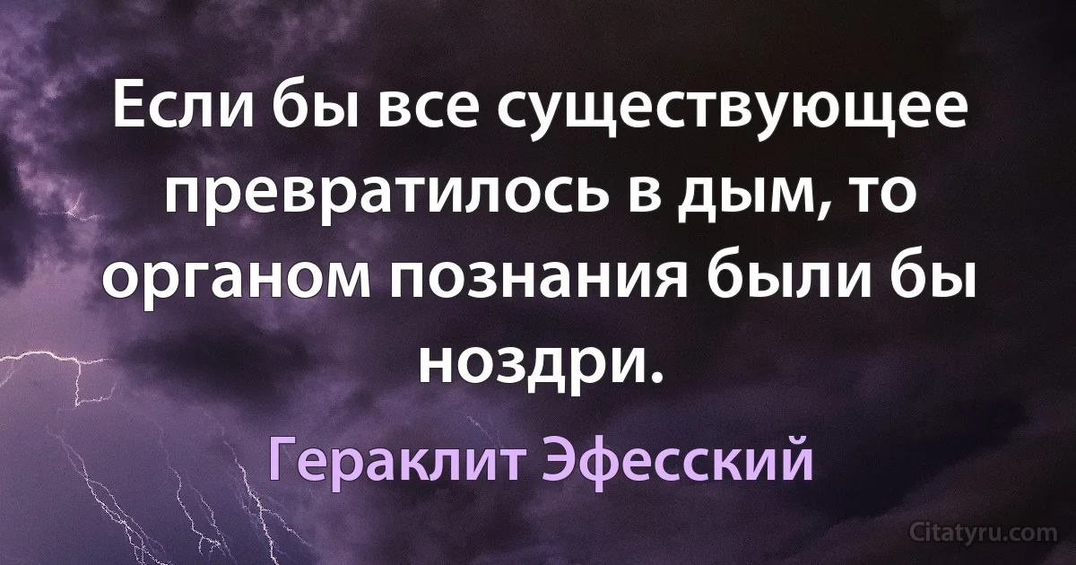 Если бы все существующее превратилось в дым, то органом познания были бы ноздри. (Гераклит Эфесский)