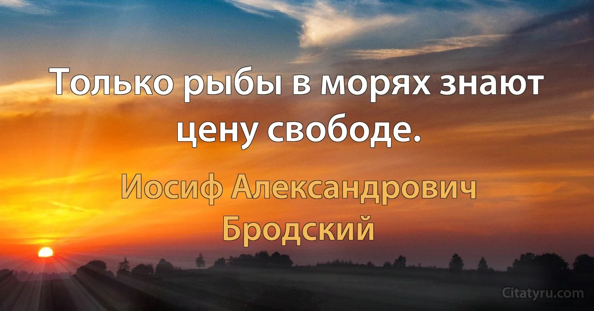 Только рыбы в морях знают цену свободе. (Иосиф Александрович Бродский)