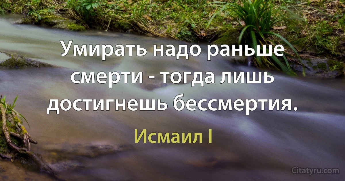 Умирать надо раньше смерти - тогда лишь достигнешь бессмертия. (Исмаил I)