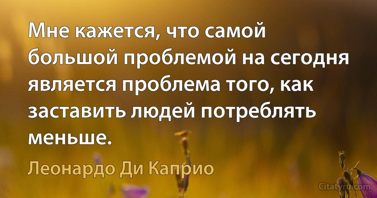 Мне кажется, что самой большой проблемой на сегодня является проблема того, как заставить людей потреблять меньше. (Леонардо Ди Каприо)