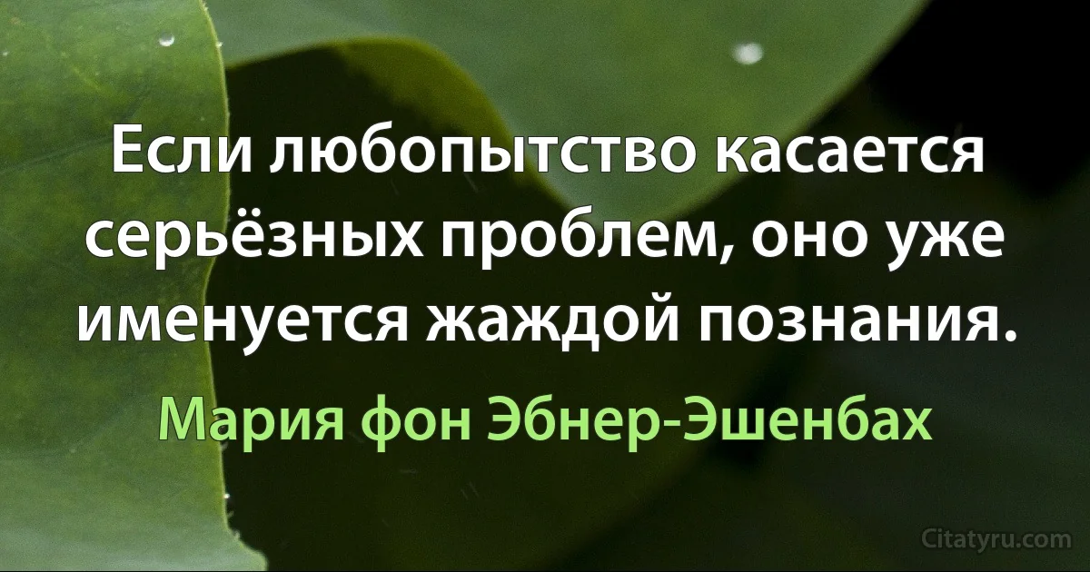 Если любопытство касается серьёзных проблем, оно уже именуется жаждой познания. (Мария фон Эбнер-Эшенбах)