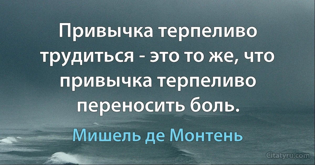 Привычка терпеливо трудиться - это то же, что привычка терпеливо переносить боль. (Мишель де Монтень)