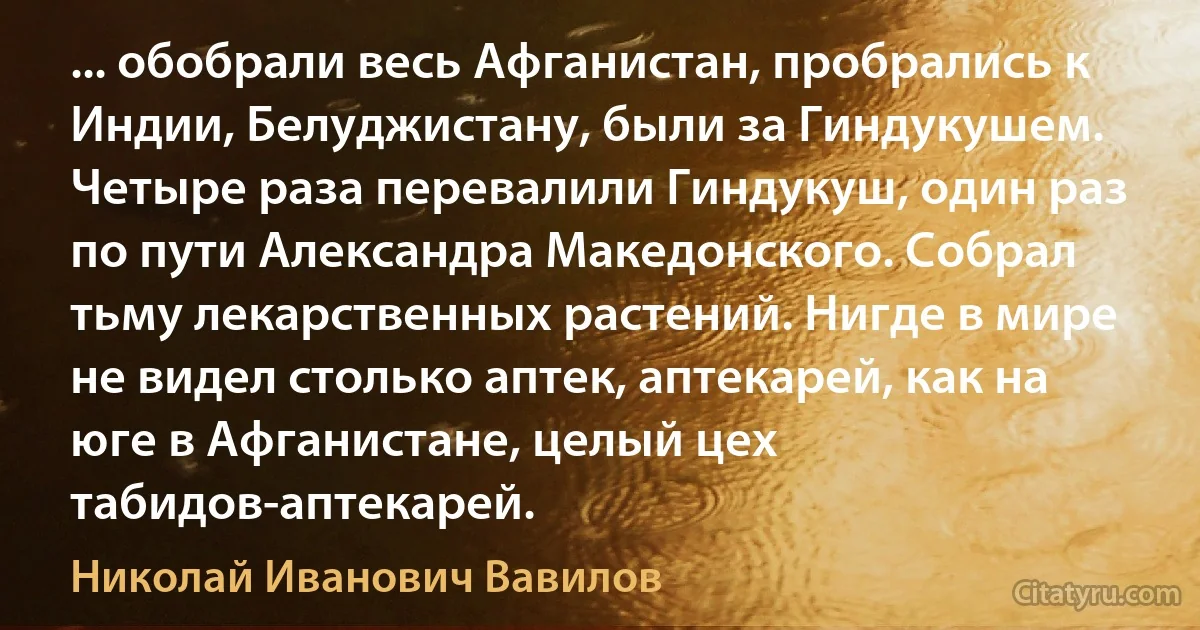 ... обобрали весь Афганистан, пробрались к Индии, Белуджистану, были за Гиндукушем. Четыре раза перевалили Гиндукуш, один раз по пути Александра Македонского. Собрал тьму лекарственных растений. Нигде в мире не видел столько аптек, аптекарей, как на юге в Афганистане, целый цех табидов-аптекарей. (Николай Иванович Вавилов)