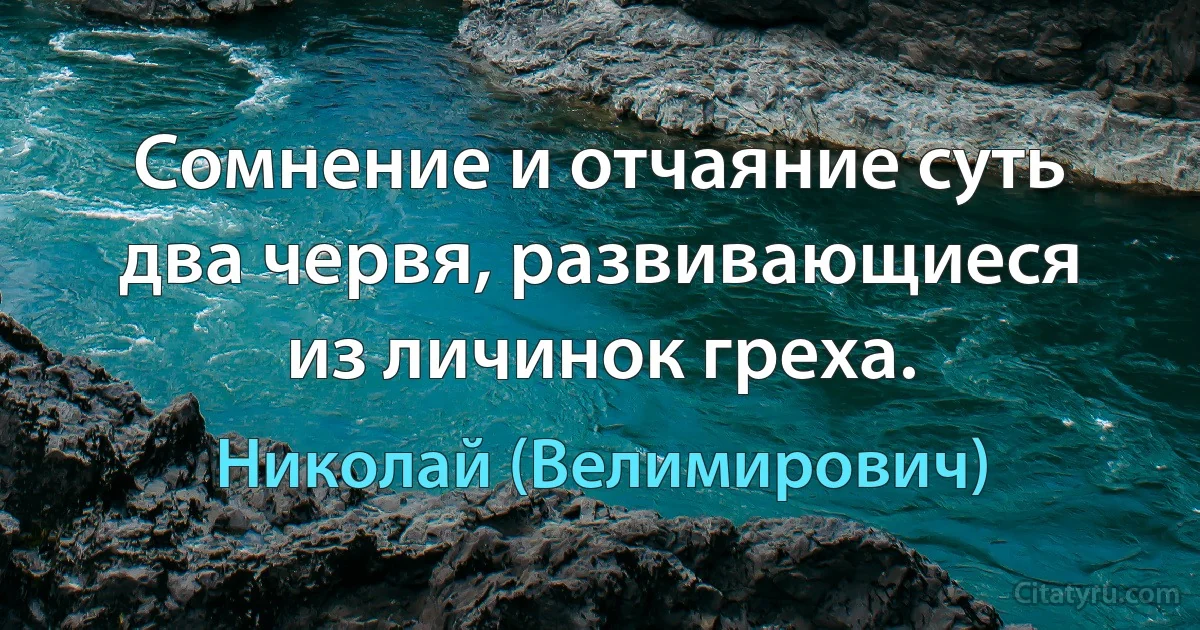 Сомнение и отчаяние суть два червя, развивающиеся из личинок греха. (Николай (Велимирович))