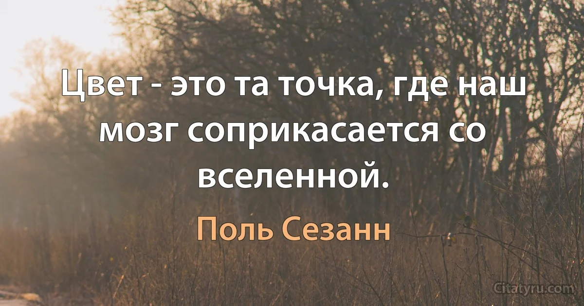 Цвет - это та точка, где наш мозг соприкасается со вселенной. (Поль Сезанн)