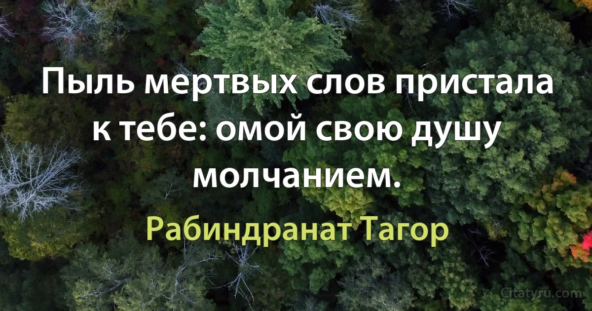 Пыль мертвых слов пристала к тебе: омой свою душу молчанием. (Рабиндранат Тагор)