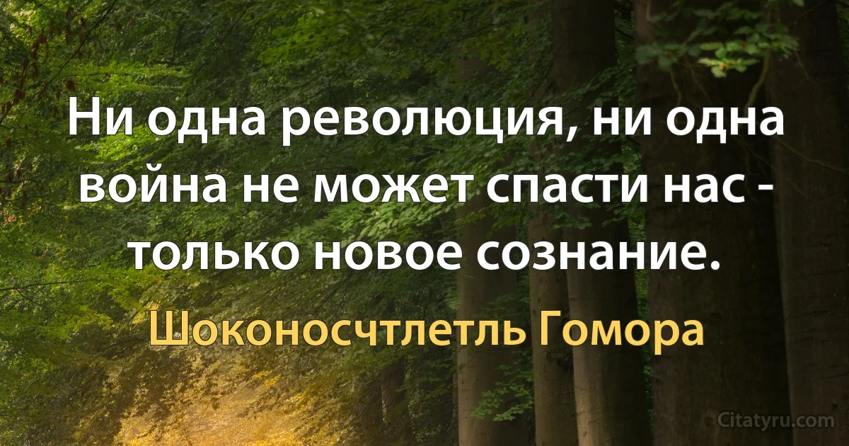 Ни одна революция, ни одна война не может спасти нас - только новое сознание. (Шоконосчтлетль Гомора)