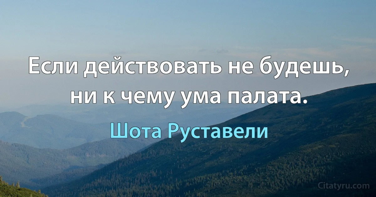 Если действовать не будешь, ни к чему ума палата. (Шота Руставели)