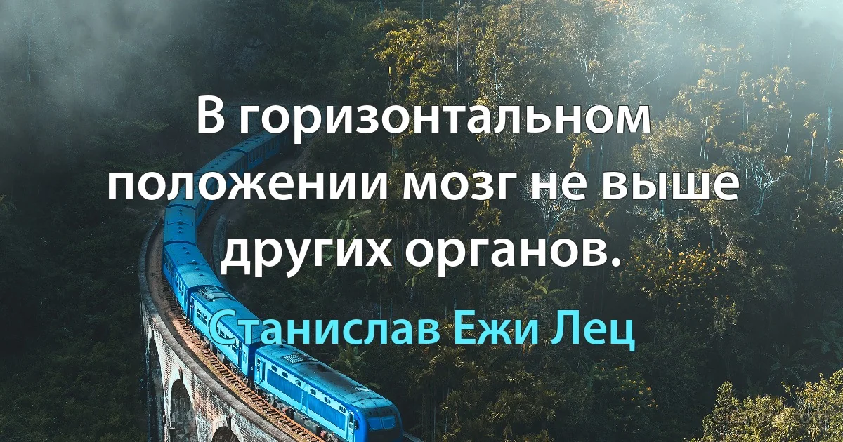 В горизонтальном положении мозг не выше других органов. (Станислав Ежи Лец)