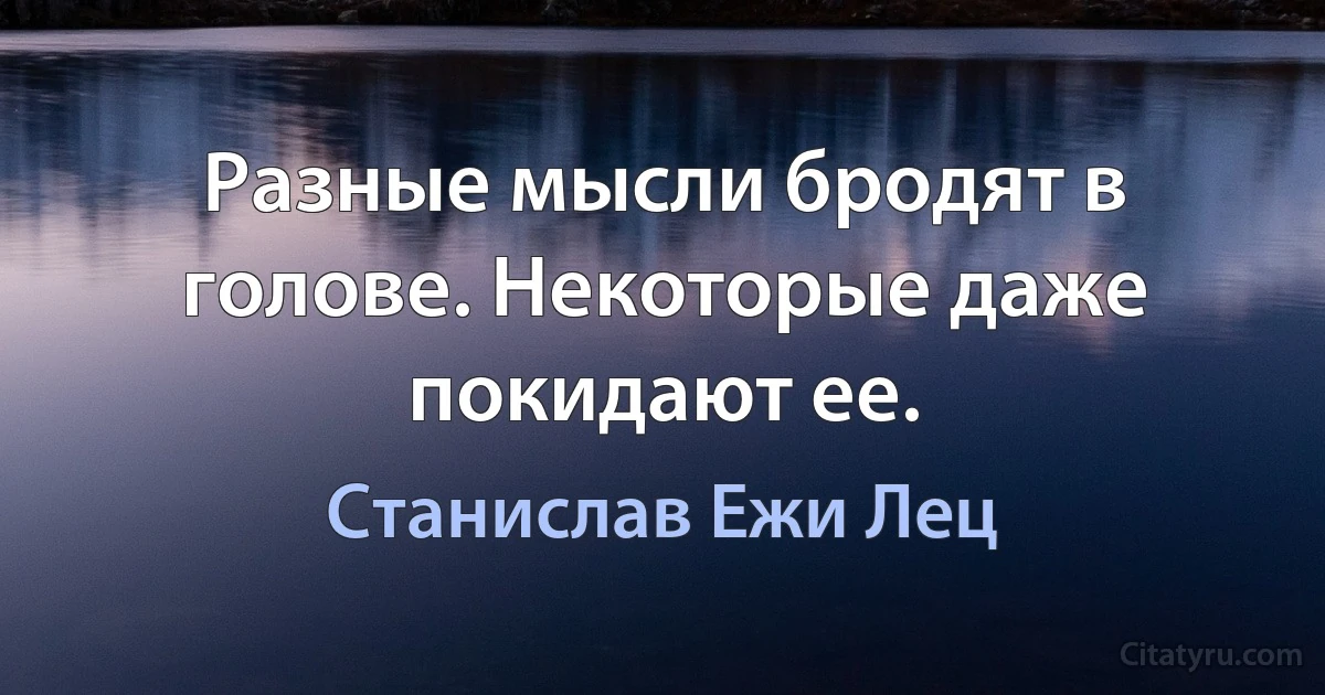 Разные мысли бродят в голове. Некоторые даже покидают ее. (Станислав Ежи Лец)