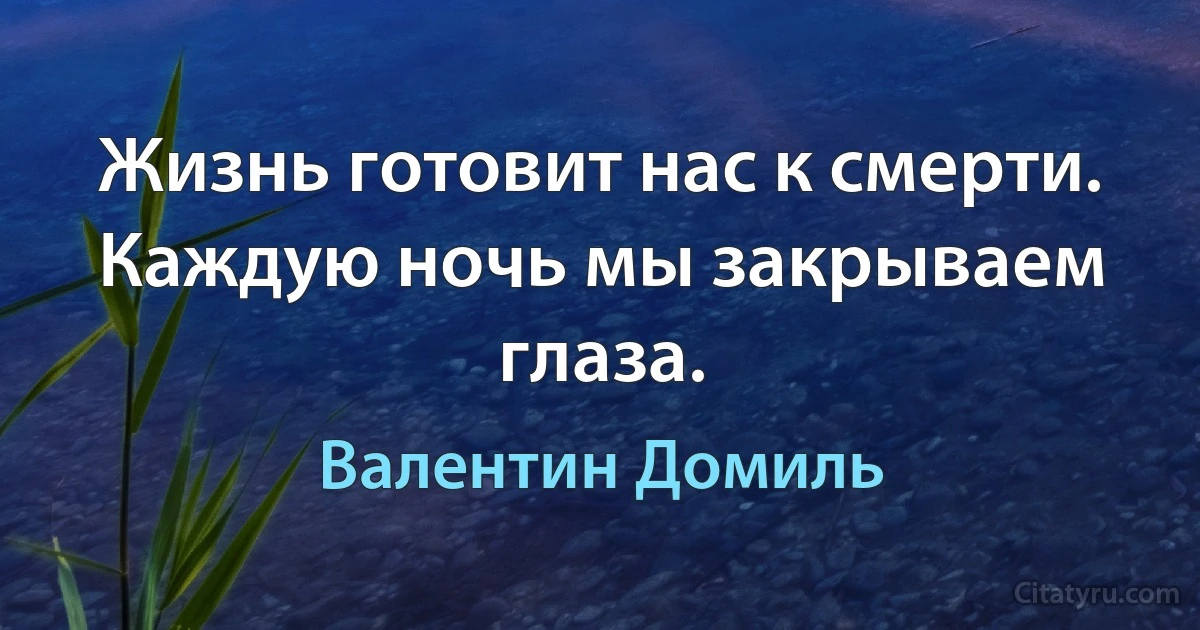 Жизнь готовит нас к смерти. Каждую ночь мы закрываем глаза. (Валентин Домиль)