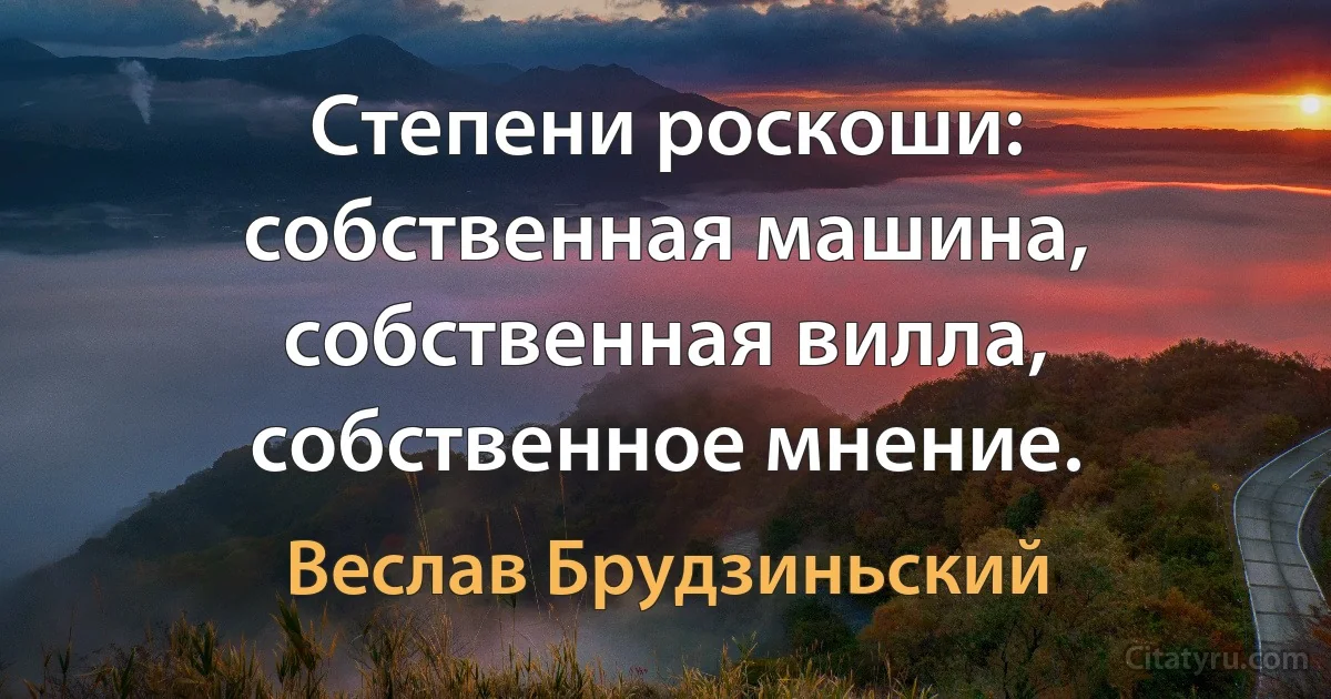 Степени роскоши: собственная машина, собственная вилла, собственное мнение. (Веслав Брудзиньский)