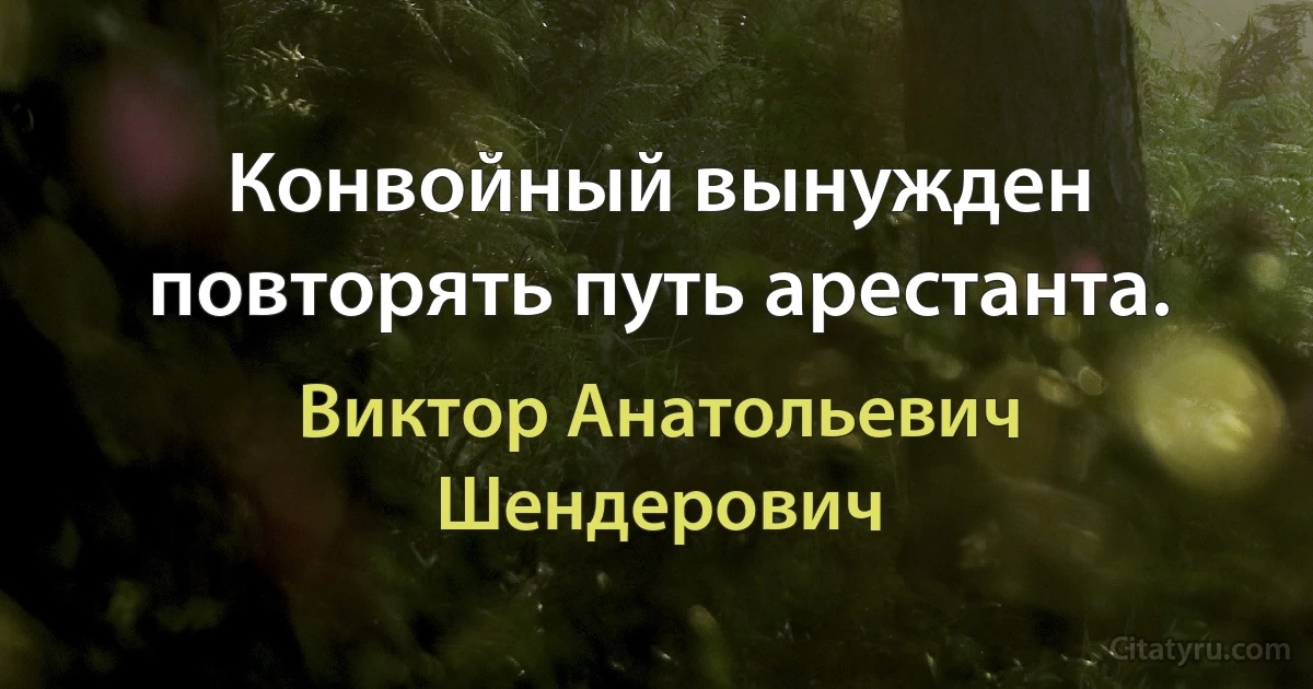 Конвойный вынужден повторять путь арестанта. (Виктор Анатольевич Шендерович)