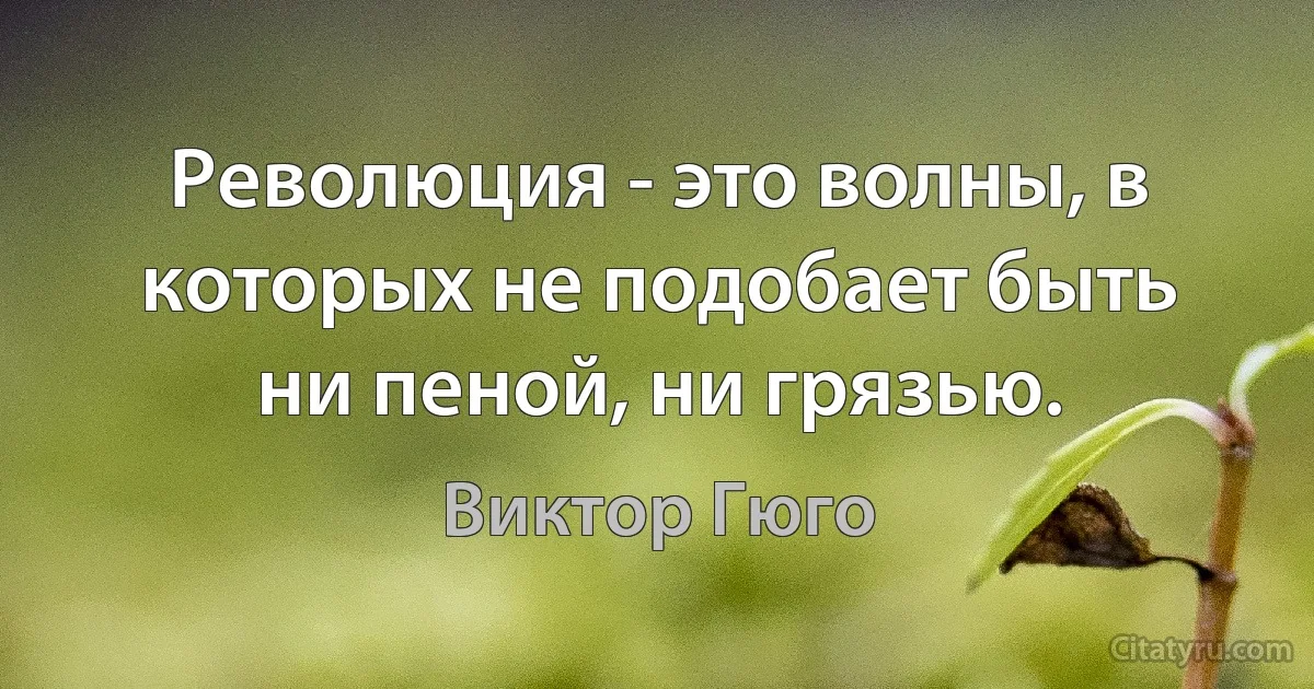 Революция - это волны, в которых не подобает быть ни пеной, ни грязью. (Виктор Гюго)