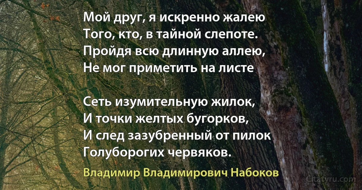 Мой друг, я искренно жалею
Того, кто, в тайной слепоте.
Пройдя всю длинную аллею,
Не мог приметить на листе

Сеть изумительную жилок,
И точки желтых бугорков,
И след зазубренный от пилок
Голуборогих червяков. (Владимир Владимирович Набоков)