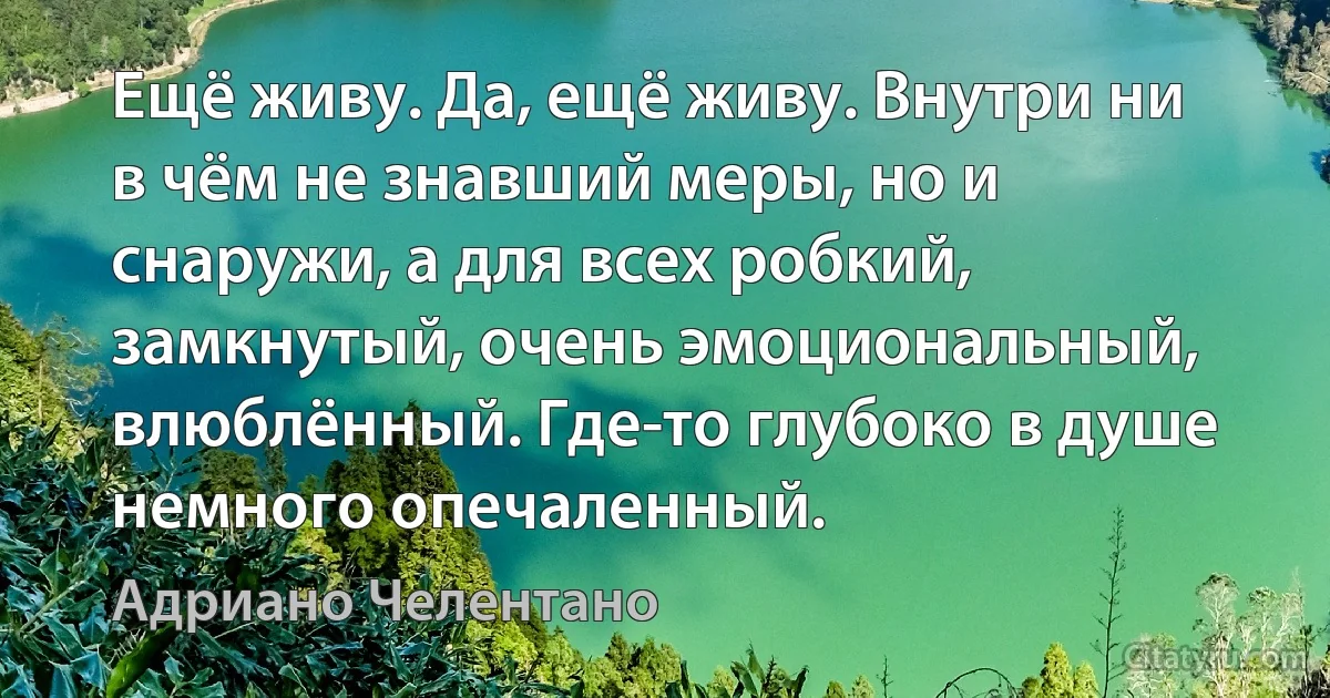 Ещё живу. Да, ещё живу. Внутри ни в чём не знавший меры, но и снаружи, а для всех робкий, замкнутый, очень эмоциональный, влюблённый. Где-то глубоко в душе немного опечаленный. (Адриано Челентано)