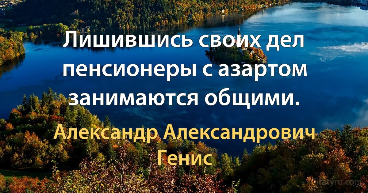 Лишившись своих дел пенсионеры с азартом занимаются общими. (Александр Александрович Генис)