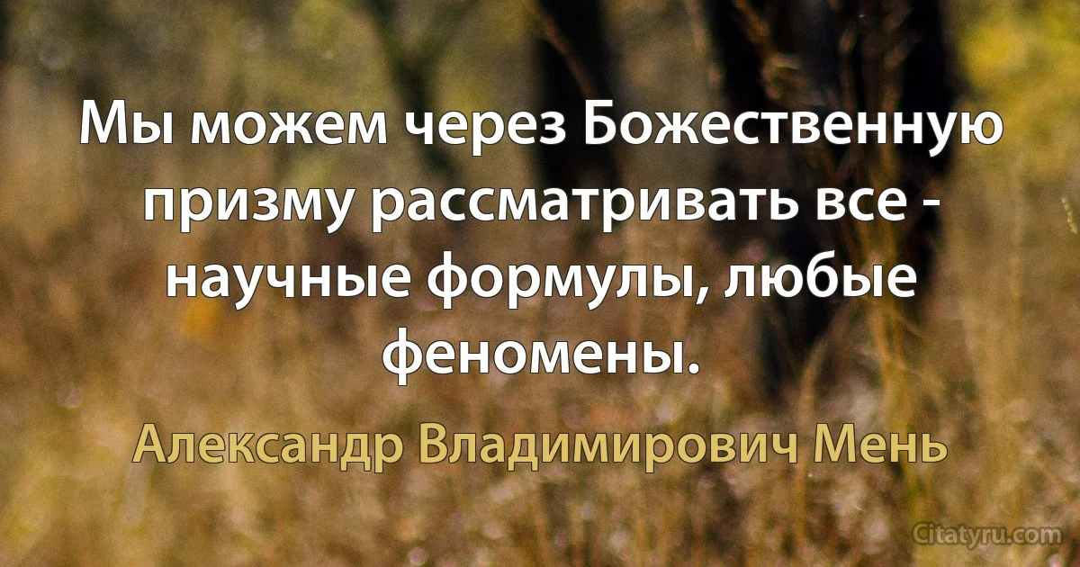 Мы можем через Божественную призму рассматривать все - научные формулы, любые феномены. (Александр Владимирович Мень)