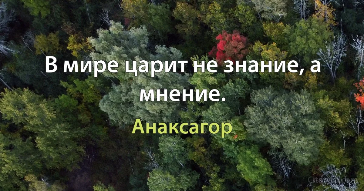 В мире царит не знание, а мнение. (Анаксагор)