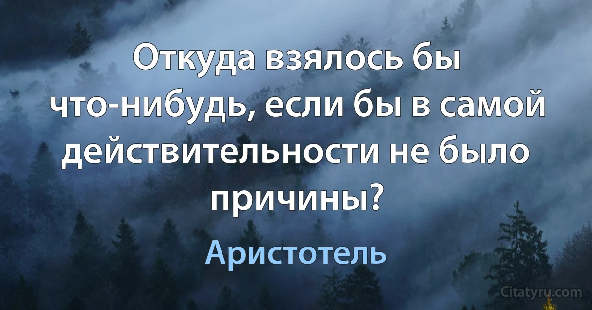 Откуда взялось бы что-нибудь, если бы в самой действительности не было причины? (Аристотель)