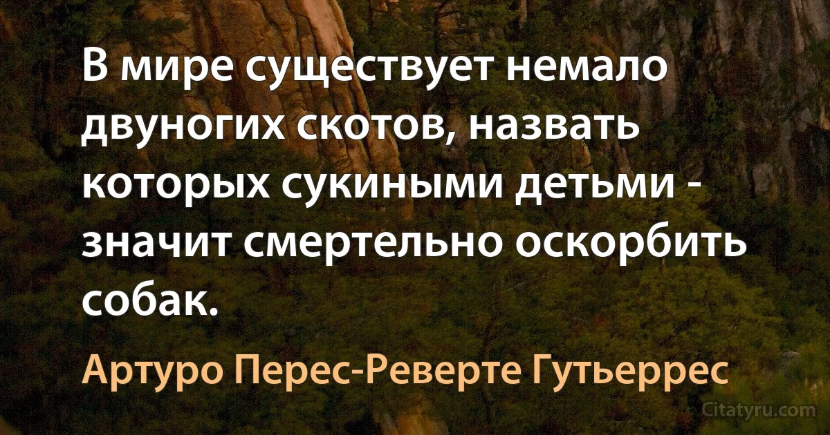 В мире существует немало двуногих скотов, назвать которых сукиными детьми - значит смертельно оскорбить собак. (Артуро Перес-Реверте Гутьеррес)