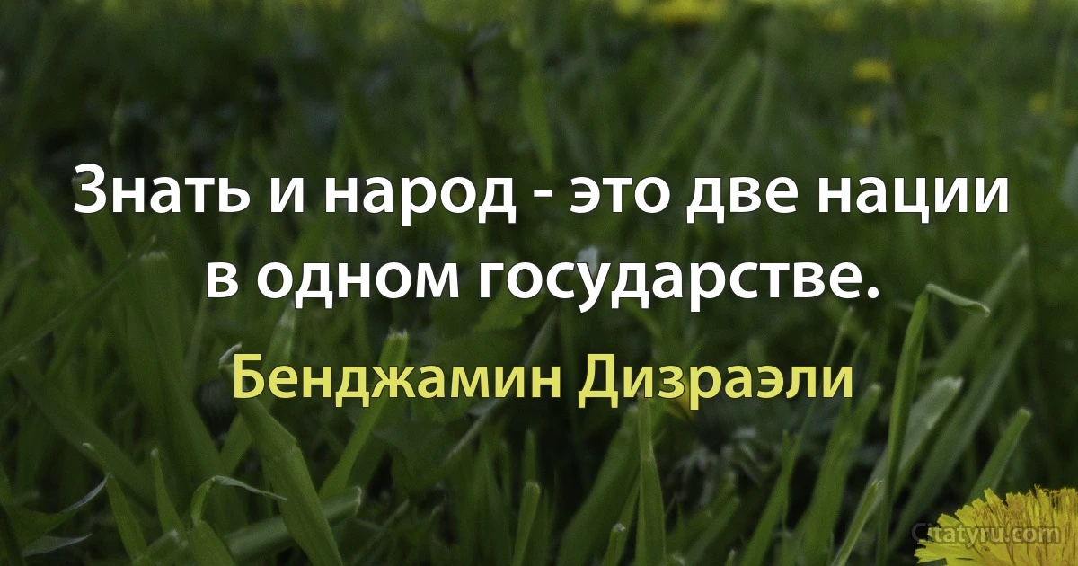 Знать и народ - это две нации в одном государстве. (Бенджамин Дизраэли)