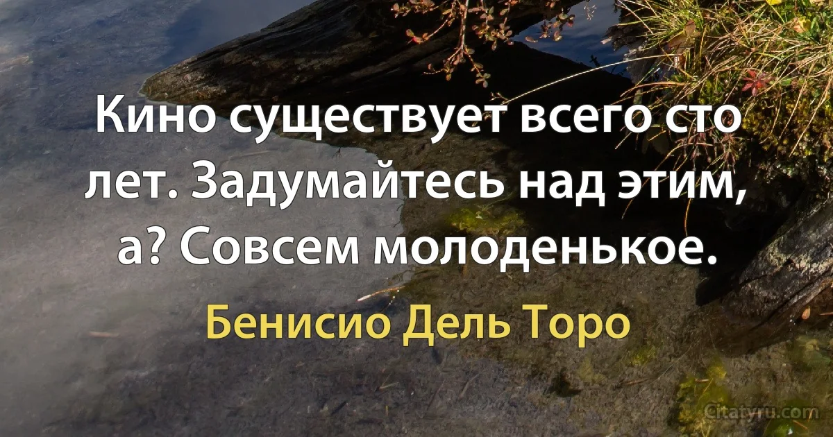 Кино существует всего сто лет. Задумайтесь над этим, а? Совсем молоденькое. (Бенисио Дель Торо)