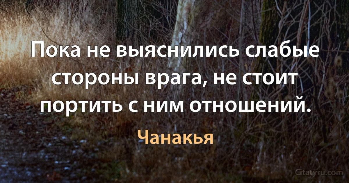 Пока не выяснились слабые стороны врага, не стоит портить с ним отношений. (Чанакья)