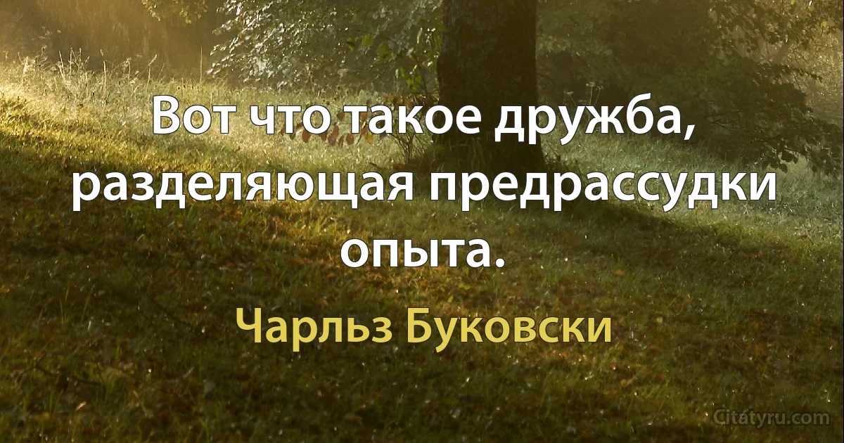 Вот что такое дружба, разделяющая предрассудки опыта. (Чарльз Буковски)