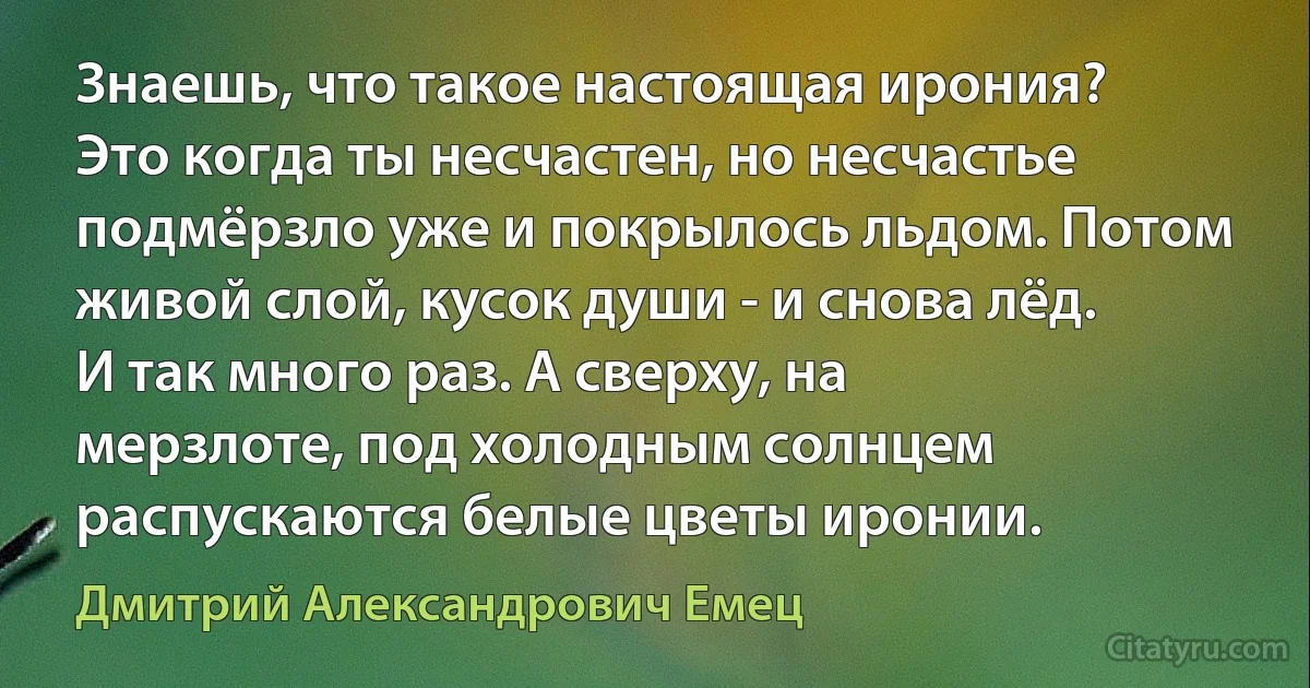 Знаешь, что такое настоящая ирония? Это когда ты несчастен, но несчастье подмёрзло уже и покрылось льдом. Потом живой слой, кусок души - и снова лёд. И так много раз. А сверху, на мерзлоте, под холодным солнцем распускаются белые цветы иронии. (Дмитрий Александрович Емец)