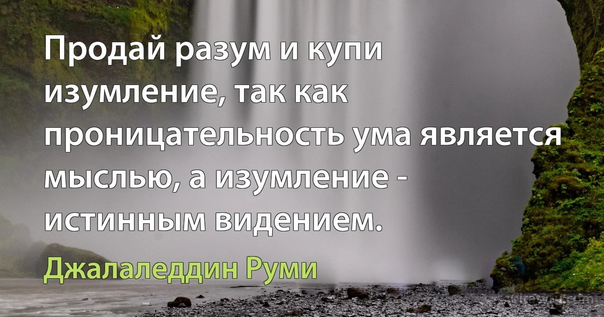 Продай разум и купи изумление, так как проницательность ума является мыслью, а изумление - истинным видением. (Джалаледдин Руми)