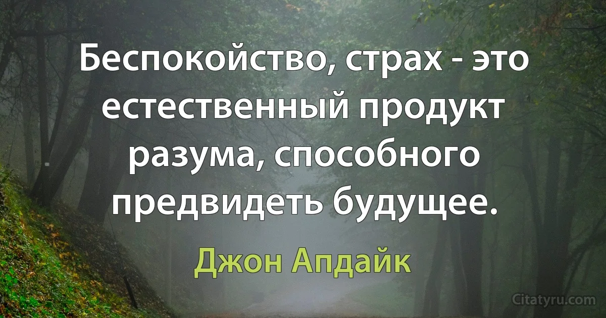 Беспокойство, страх - это естественный продукт разума, способного предвидеть будущее. (Джон Апдайк)