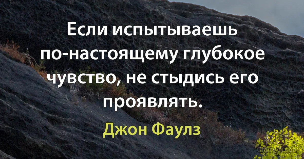 Если испытываешь по-настоящему глубокое чувство, не стыдись его проявлять. (Джон Фаулз)