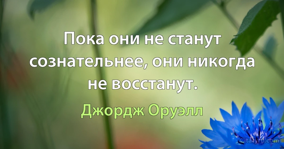 Пока они не станут сознательнее, они никогда не восстанут. (Джордж Оруэлл)