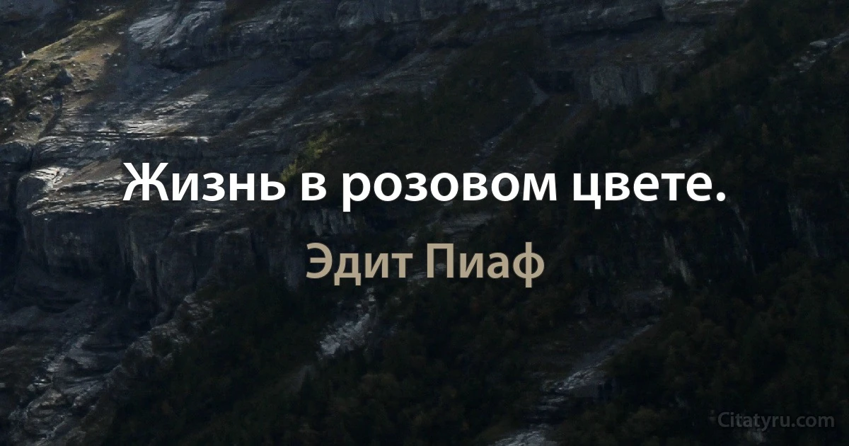 Жизнь в розовом цвете. (Эдит Пиаф)