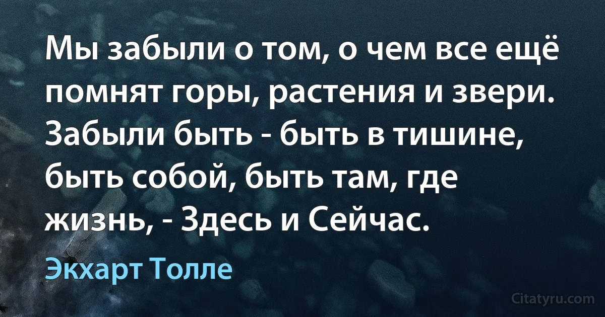 Мы забыли о том, о чем все ещё помнят горы, растения и звери. Забыли быть - быть в тишине, быть собой, быть там, где жизнь, - Здесь и Сейчас. (Экхарт Толле)