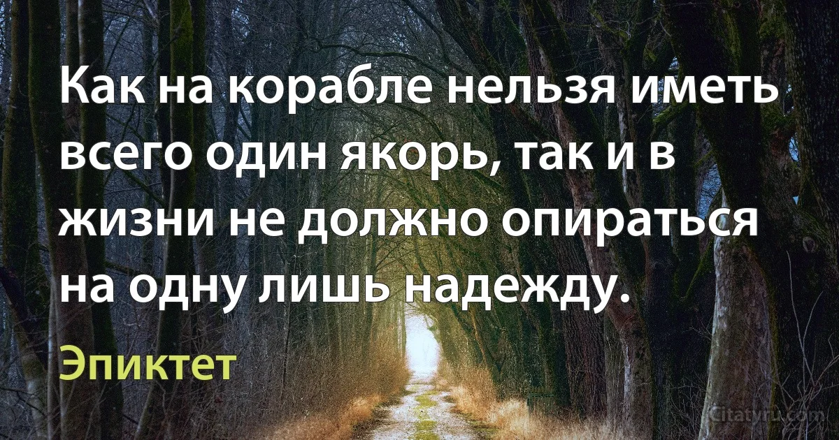 Как на корабле нельзя иметь всего один якорь, так и в жизни не должно опираться на одну лишь надежду. (Эпиктет)