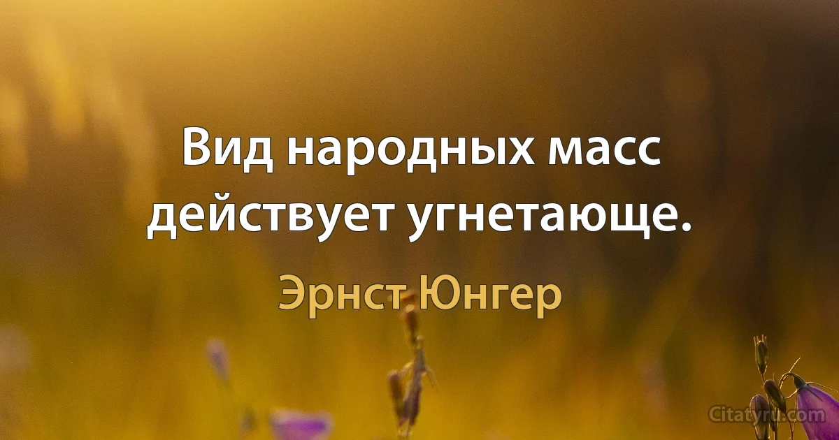 Вид народных масс действует угнетающе. (Эрнст Юнгер)