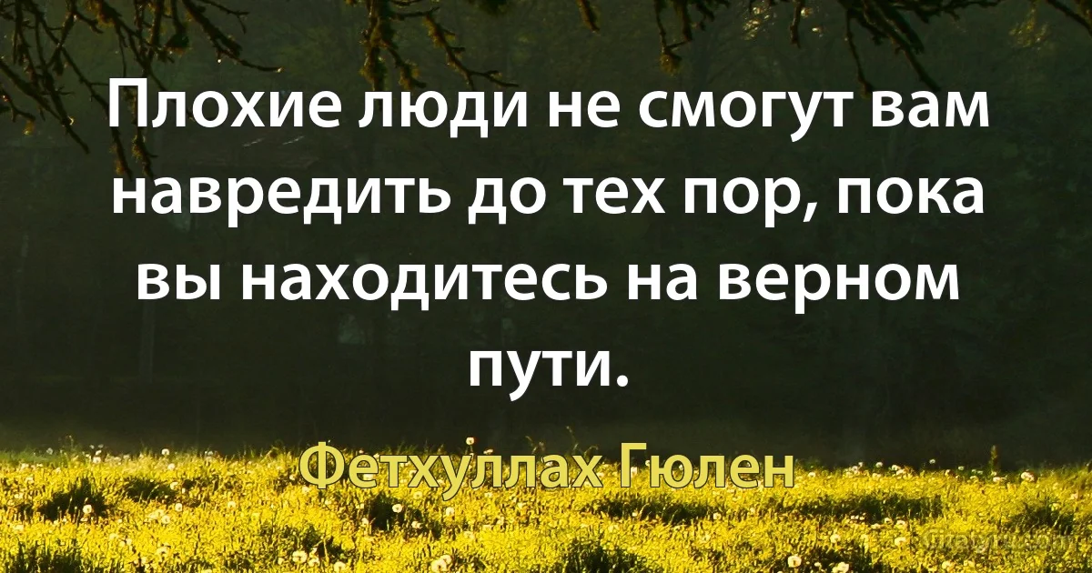 Плохие люди не смогут вам навредить до тех пор, пока вы находитесь на верном пути. (Фетхуллах Гюлен)