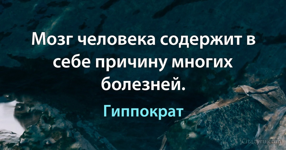 Мозг человека содержит в себе причину многих болезней. (Гиппократ)