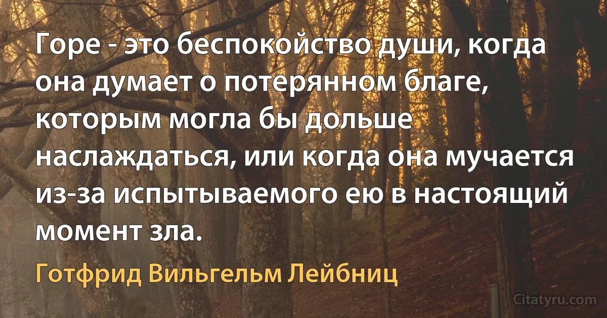 Горе - это беспокойство души, когда она думает о потерянном благе, которым могла бы дольше наслаждаться, или когда она мучается из-за испытываемого ею в настоящий момент зла. (Готфрид Вильгельм Лейбниц)