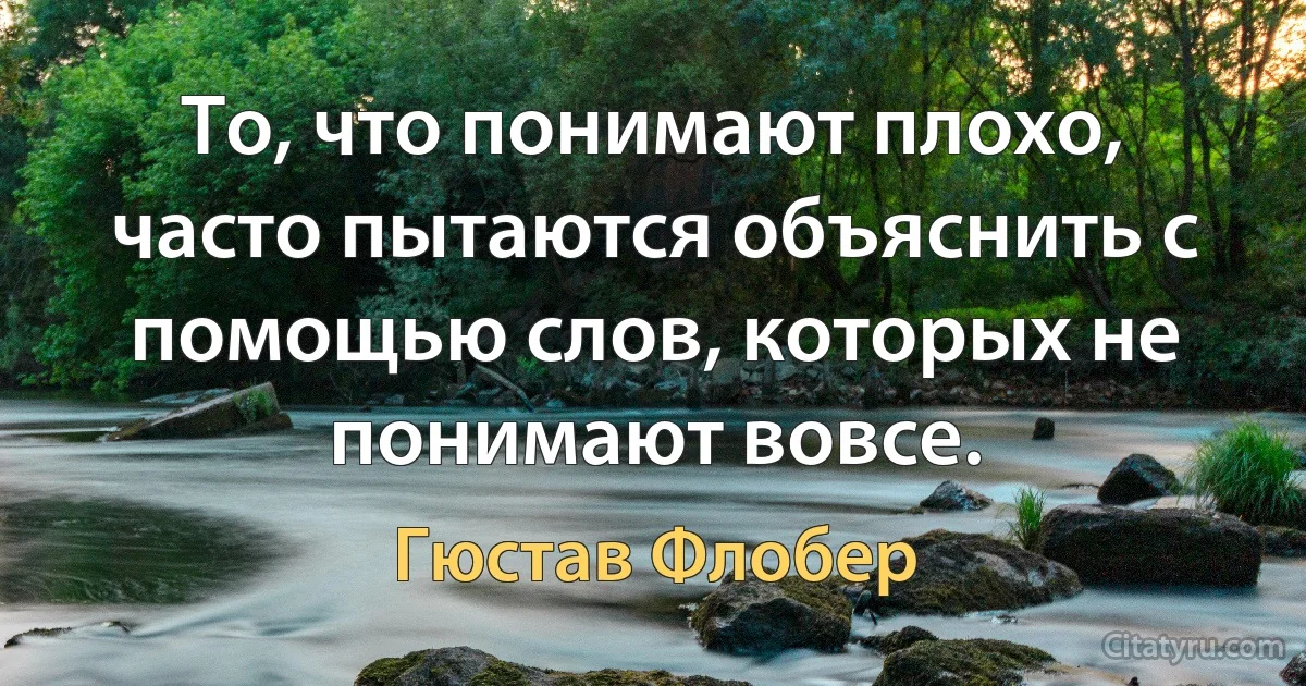 То, что понимают плохо, часто пытаются объяснить с помощью слов, которых не понимают вовсе. (Гюстав Флобер)