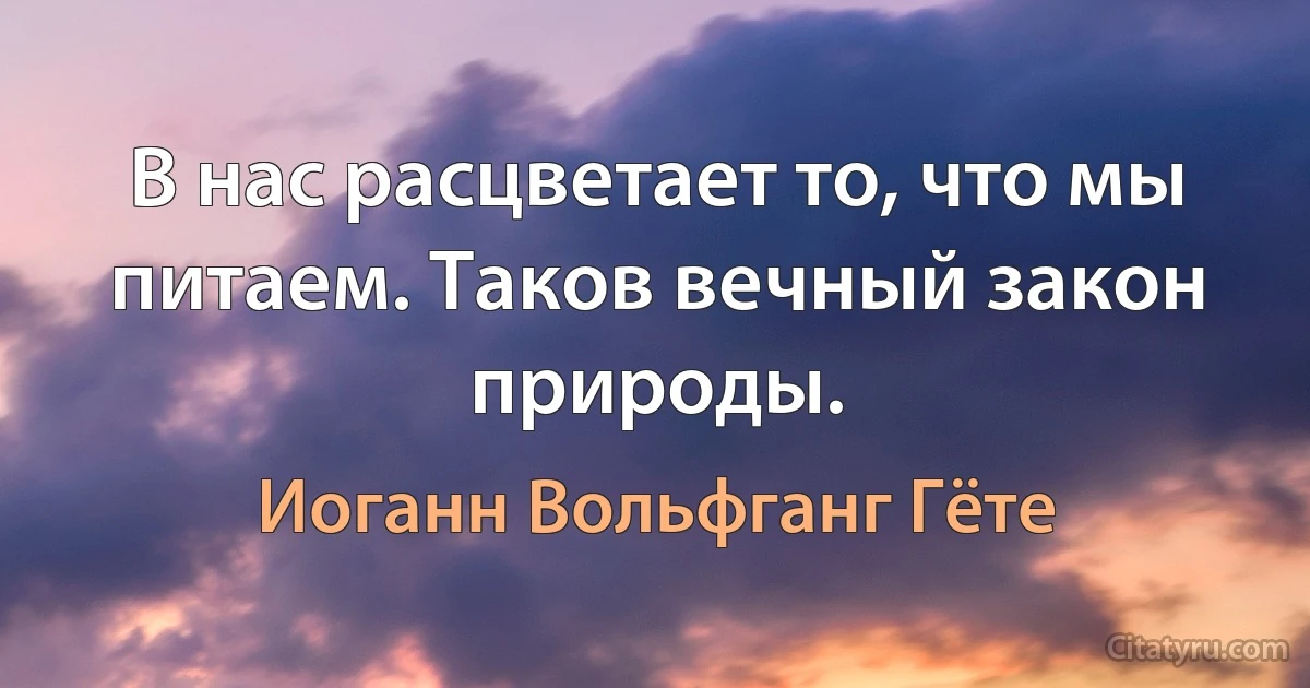 В нас расцветает то, что мы питаем. Таков вечный закон природы. (Иоганн Вольфганг Гёте)