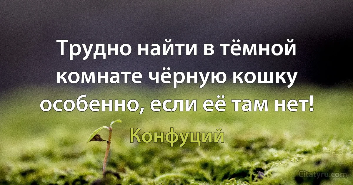 Трудно найти в тёмной комнате чёрную кошку особенно, если её там нет! (Конфуций)