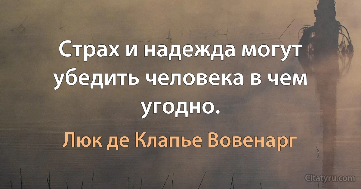 Страх и надежда могут убедить человека в чем угодно. (Люк де Клапье Вовенарг)