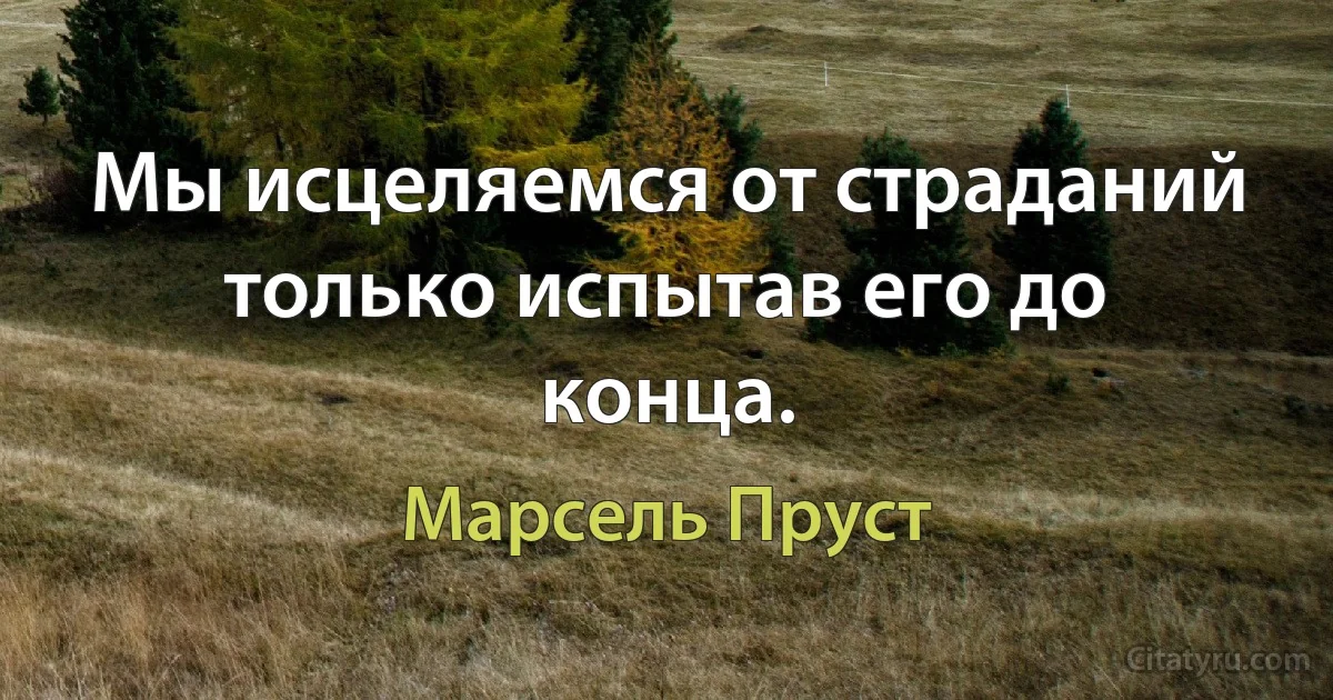 Мы исцеляемся от страданий только испытав его до конца. (Марсель Пруст)