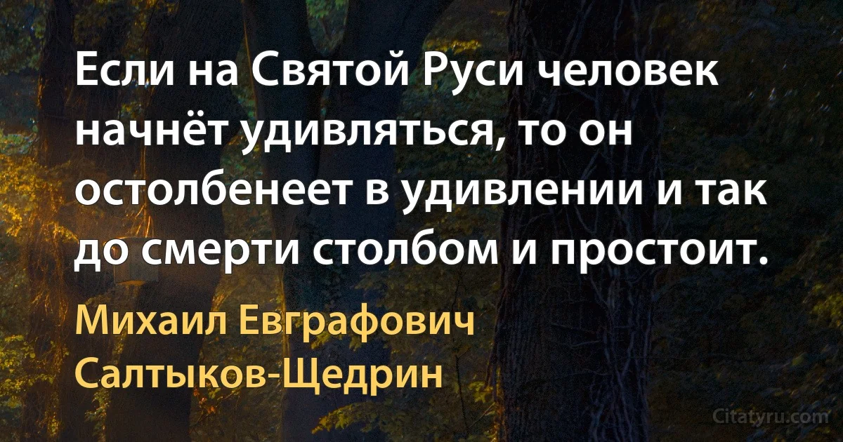 Если на Святой Руси человек начнёт удивляться, то он остолбенеет в удивлении и так до смерти столбом и простоит. (Михаил Евграфович Салтыков-Щедрин)