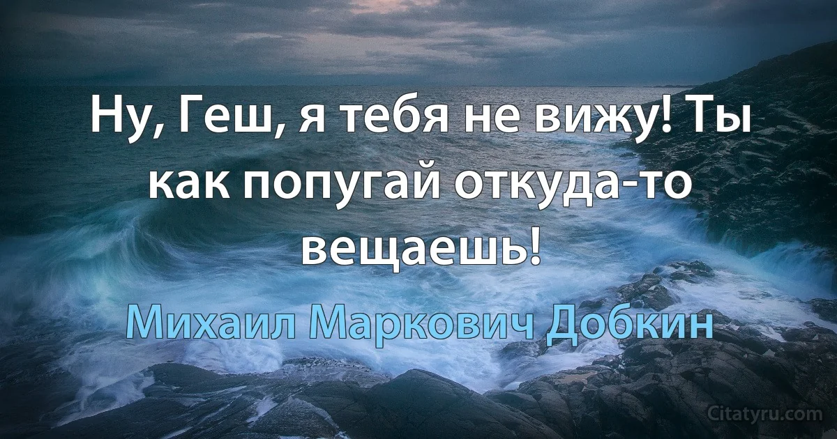 Ну, Геш, я тебя не вижу! Ты как попугай откуда-то вещаешь! (Михаил Маркович Добкин)