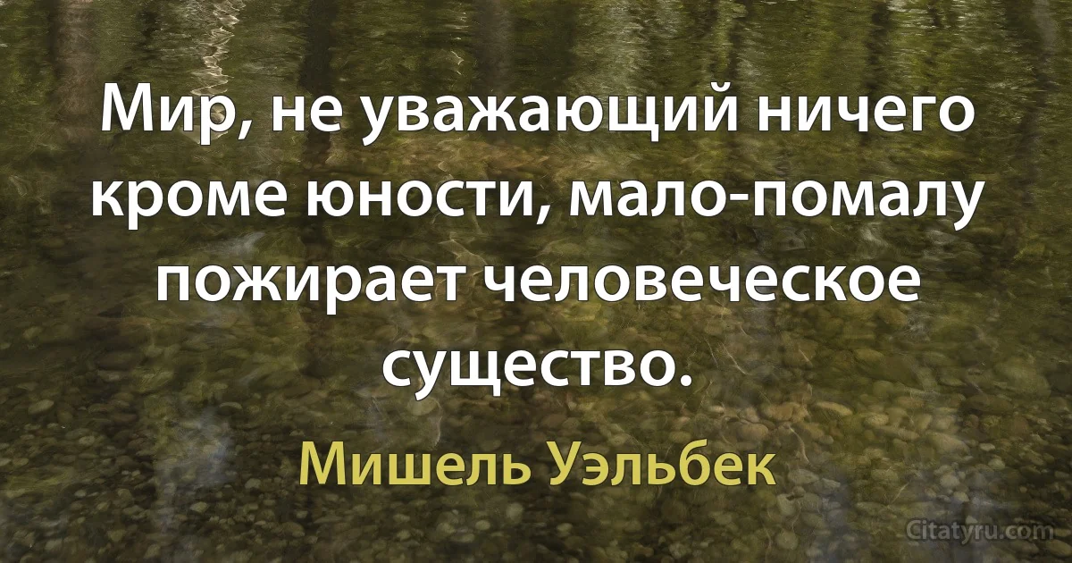 Мир, не уважающий ничего кроме юности, мало-помалу пожирает человеческое существо. (Мишель Уэльбек)