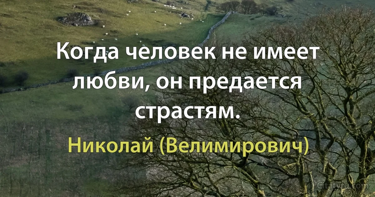 Когда человек не имеет любви, он предается страстям. (Николай (Велимирович))